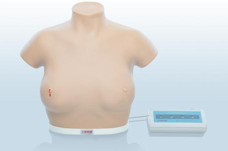 電子乳腺癌觸診、視診訓(xùn)練模型